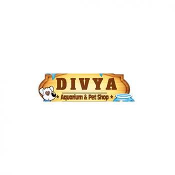 Divya Aquarium Pet Shop Pets Accessories Chennai Tamil